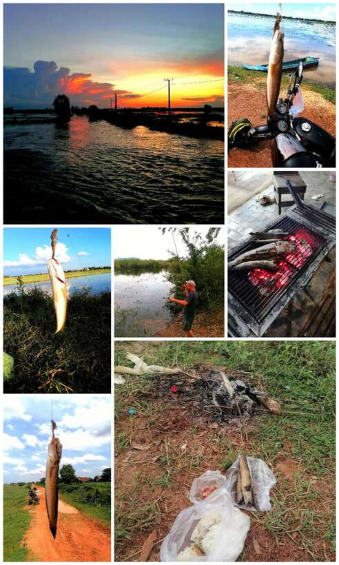 Siem Reap: Fishing in the rice fields, in the villages of Siem Reap - Who This Siem Reap Rice-Field Fishing Trip Fits Best