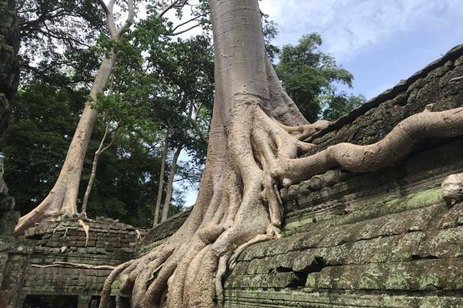 Siem Reap Full Day Angkor Wat Tour Small Group - Guides Make or Break the Temple Day