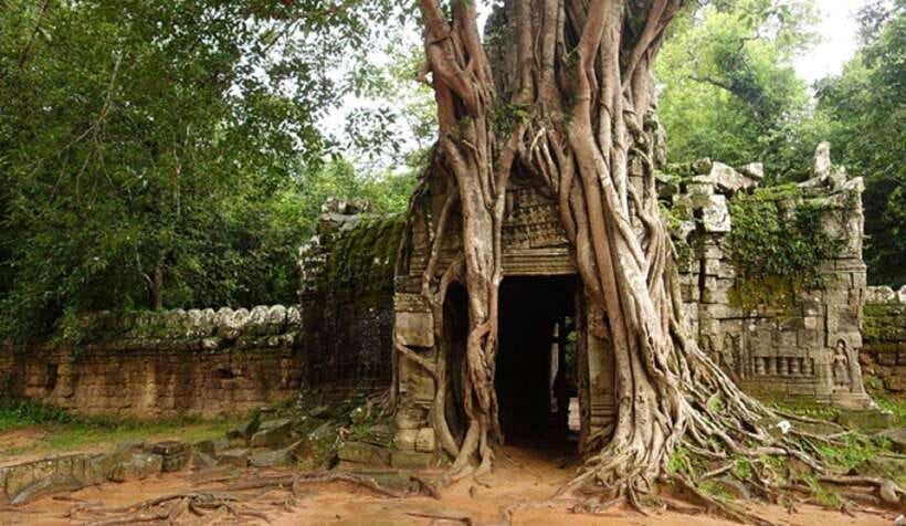 Siem Reap: Grand Circle Temples Tour With Private Tuk-Tuk - Drop-off options: back to your hotel or off toward Siem Reap nightlife