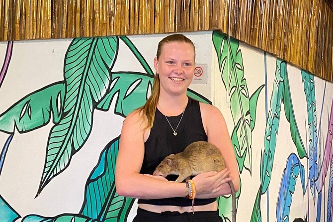 Siem Reap Guided Tour & Hero RATs at APOPO Visitor Center - Quick hits: what makes this Siem Reap half-day work