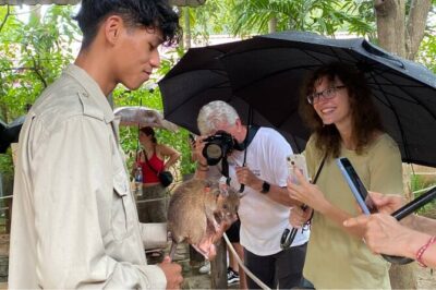 Siem Reap Guided Tour & Hero RATs at APOPO Visitor Center - Wat Thmei Killing Fields: where pacing and respect are the real itinerary