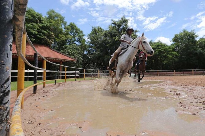 Siem Reap Happy Horse Riding Free Pick-up & Drop-off - Key highlights at a glance