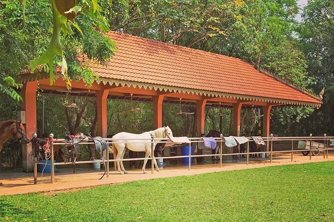 Siem Reap Happy Horse Riding Free Pick-up & Drop-off - Horse Riding in Siem Reap: the countryside you can actually feel