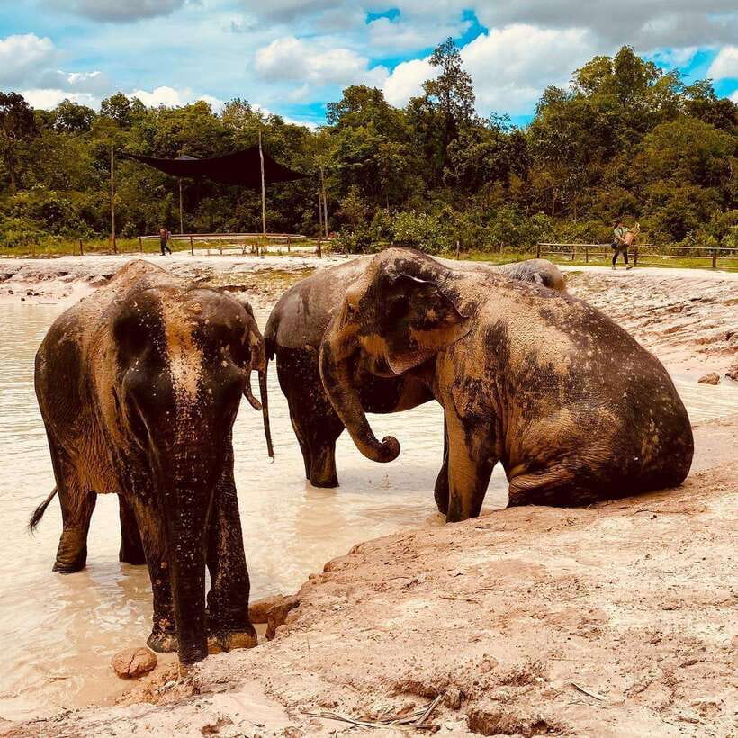 Siem Reap: Kulen Elephant Forest & Tonlesap Lake - Key takeaways before you go
