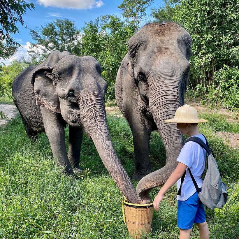 Siem Reap: Kulen Elephant Forest & Tonlesap Lake - Who should book this trip, and who should pass