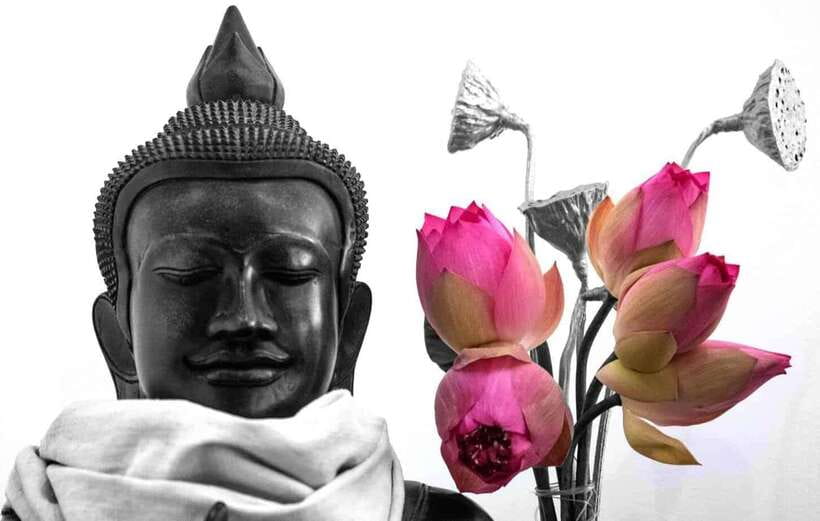 Siem Reap Lotus Silk Farm Discovery tour & Lake experience - Getting there from Biolab Café: easy start, fixed schedule
