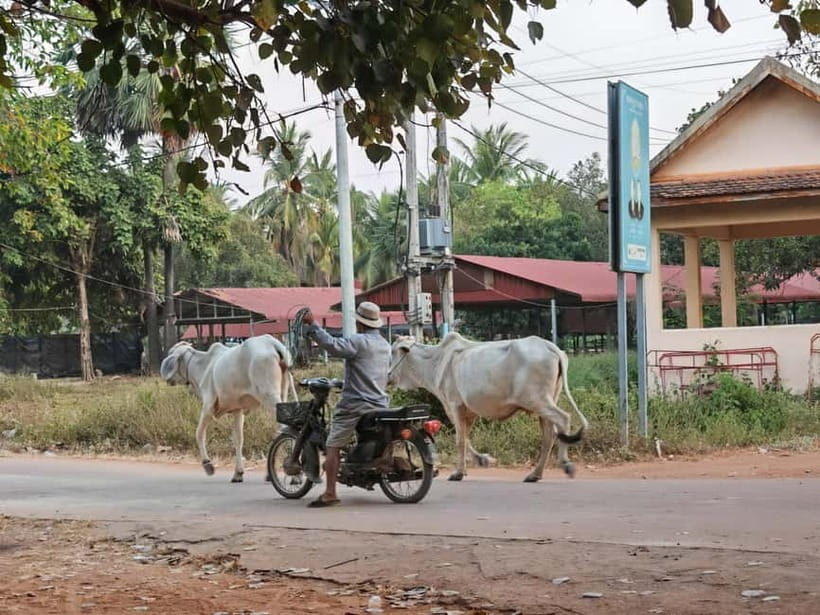 Siem Reap: Monk Blessings and Village Life Scooter Tour - Banh Chhev and Street Snacks: What You’ll Eat (and How to Approach It)
