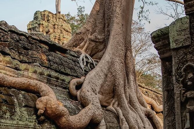 Siem Reap Private Full Day Angkor Wat Tour with Sunset or Sunrise - Private Angkor timing: sunrise morning vs sunset finish