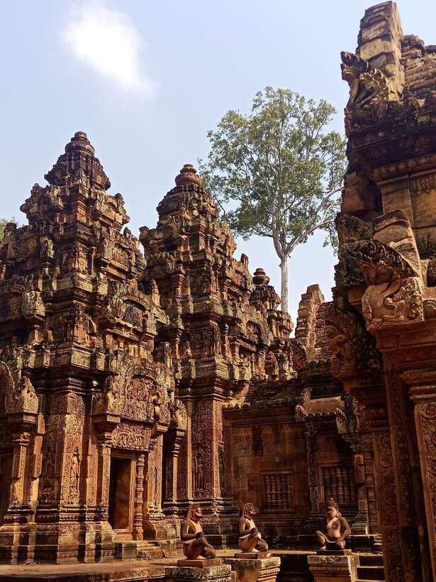 Siem Reap Private Tour: Angkor Wat Sunrise And Banteay Srei - Ta Prohm: tree roots, photo stops, and story-telling