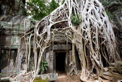 Siem Reap: Private Tour of Angkor Complex - Angkor Thom’s South Gate to Bayon: Faces, Geometry, and Movement