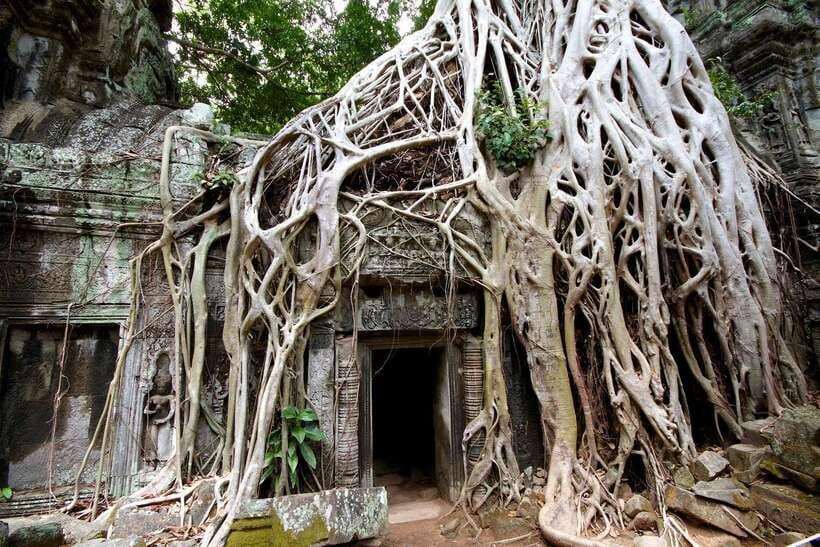 Siem Reap: Private Tour of Angkor Complex - Angkor Thom’s South Gate to Bayon: Faces, Geometry, and Movement