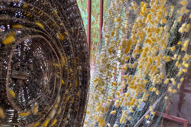 Siem Reap: Silk Farm & Countryside Offbeat Jeep Tour - Buddhist temple or pagoda: noticing faith in daily routine