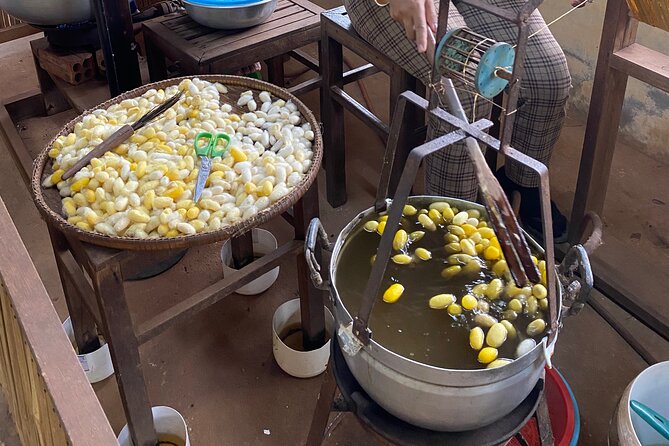 Siem Reap: Silk Farm & Countryside Offbeat Jeep Tour - Price and value: where $55 per person makes sense