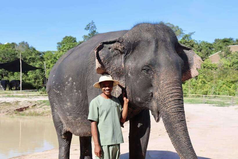Siem Reap: Small Group Tour of Kulen Elephant Forest - Key Highlights You’ll Actually Feel