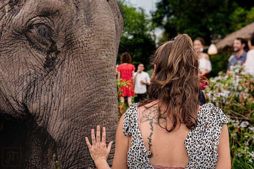 Siem Reap: Small Group Tour of Kulen Elephant Forest - Base Camp and Khmer Food: A Relaxing Reset at Noon