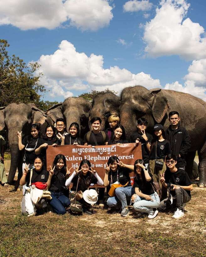 Siem Reap: Small Group Tour of Kulen Elephant Forest - What to Expect From the Elephants (and From Your Guide)