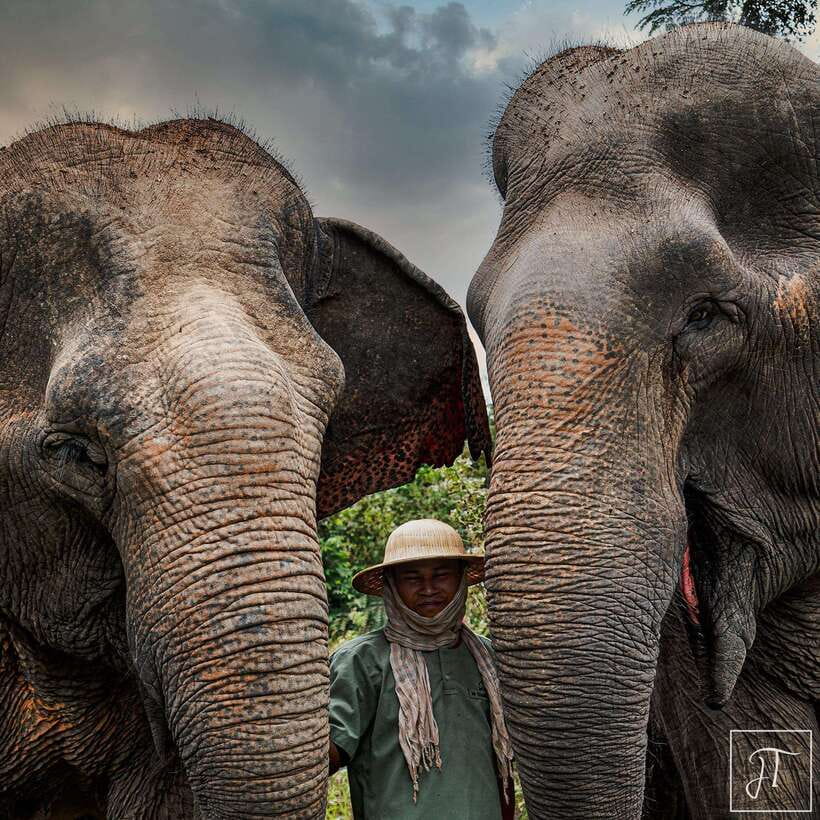 Siem Reap: Small Group Tour of Kulen Elephant Forest - 4.5 Hours in Real Life: Pickup, Shuttle, and Timing