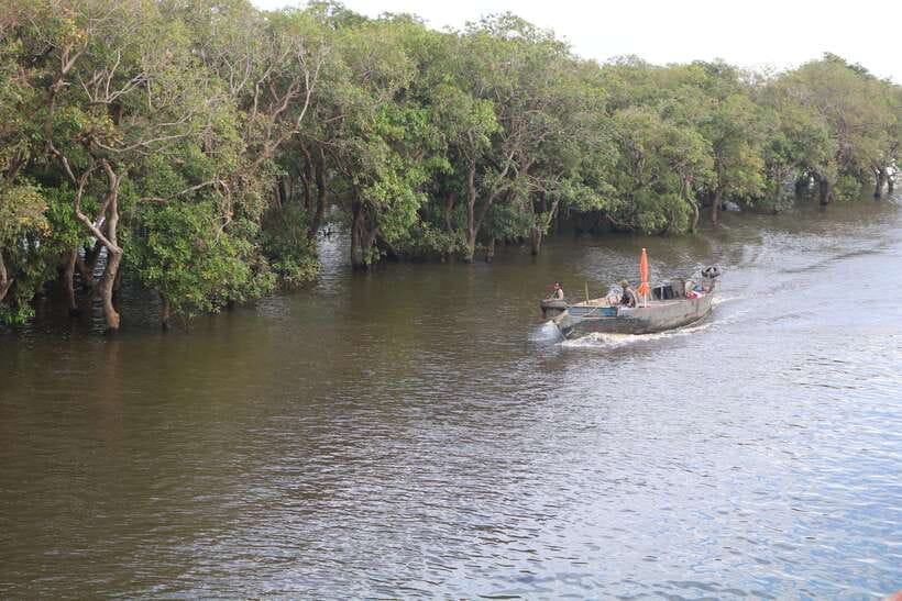Siem Reap: Tonle Sap Lake - Fishing Village & Flooded Forest - Who This Tour Fits Best (and Who Might Want Another Option)