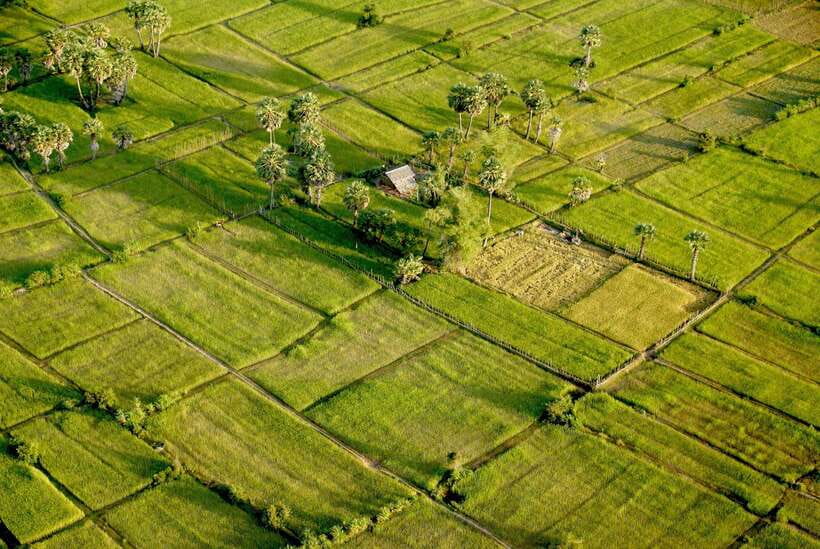 Sky Venture Microlight Siem Reap - Why a Microlight Over Angkor Feels So Different