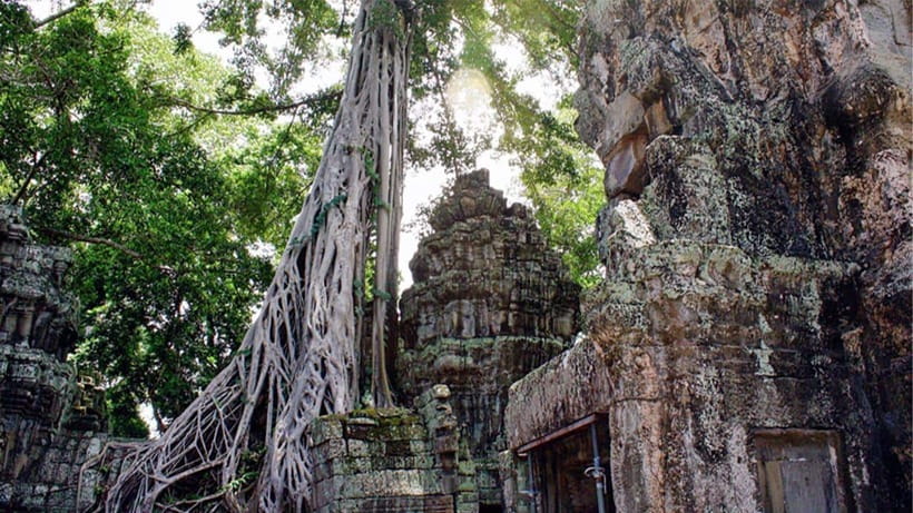 Small-Group Explore Angkor Wat Sunrise Tour with Guide - Key highlights worth getting out of bed for