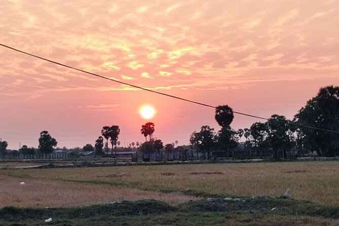 Small Group Sunset, Picnic & Countryside, Bike Tours - Picnic-style finish with a cold drink