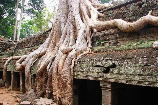 Special Three Days Angkor Tour - What this Special Three Days Angkor Tour is really like
