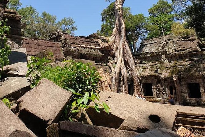Special Three Days Angkor Tour - Price and what you still need to pay