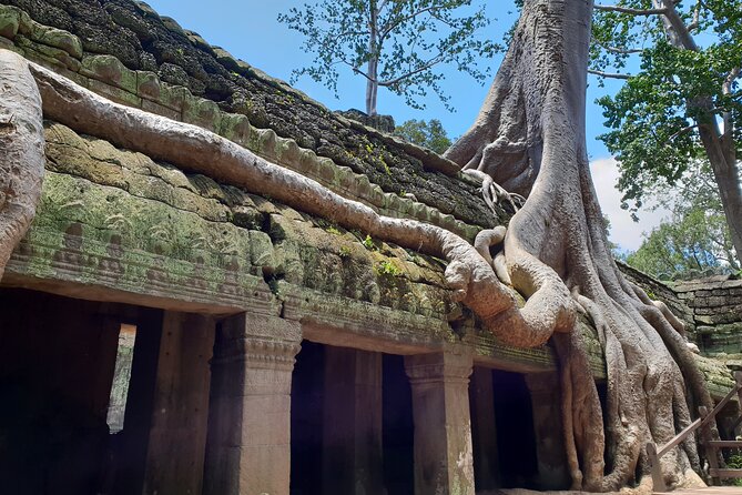Special Three Days Angkor Tour - Logistics on the ground: pickup, comfort, and walking time