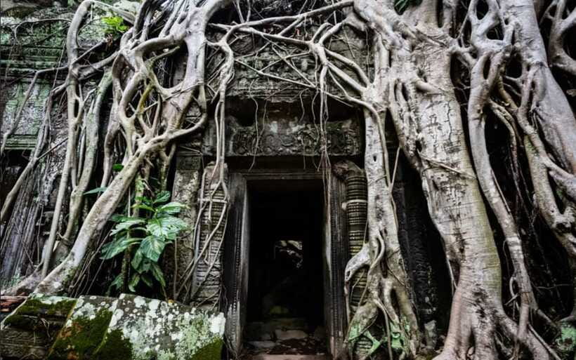 Sunrise at Angkor Wat and Small Tour with Tours Guide - Should you book Sunrise at Angkor Wat and this small circuit?