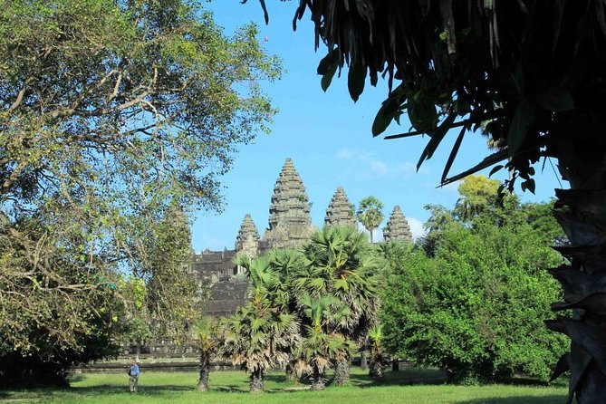Sunrise Small Group Tour to Angkor Wat Temple - What the guide and van logistics really mean for you