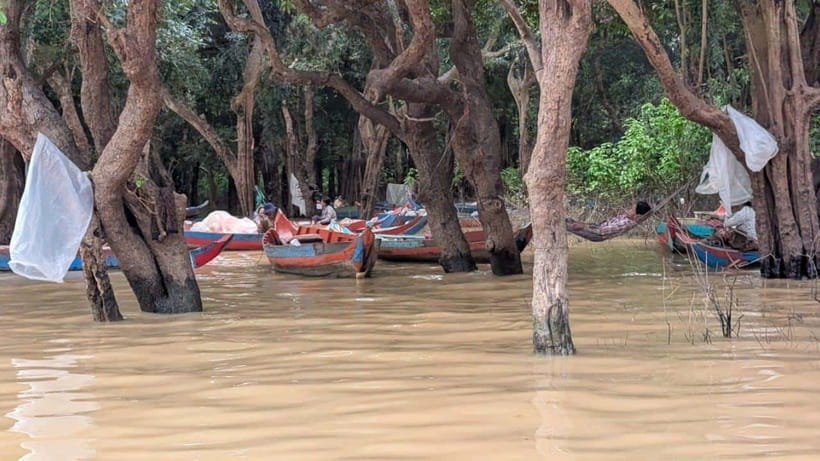 Sunset Kompong Pluk Floating Village - Countryside drive through rice fields and villages