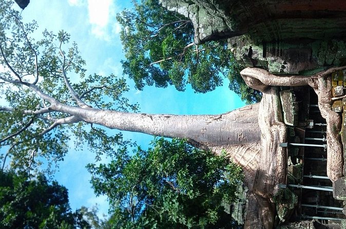 The Magnificent Angkor Wat - Ta Prohm: the jungle temple effect and practical ways to handle it