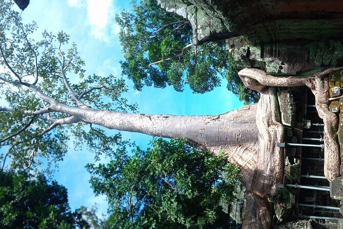 The Magnificent Angkor Wat - Guide style and real-world perks: live commentary that keeps you moving