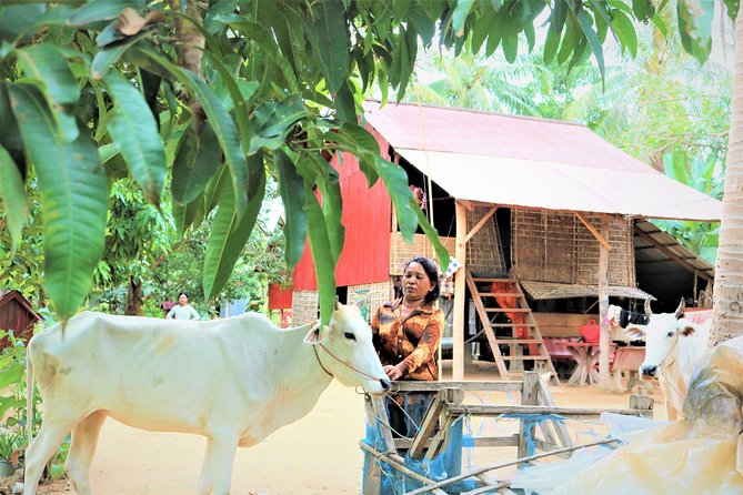 Tonle Sap Lake - Fishing Village & Flooded Forest - Guides and safety: the names that keep showing up for a reason