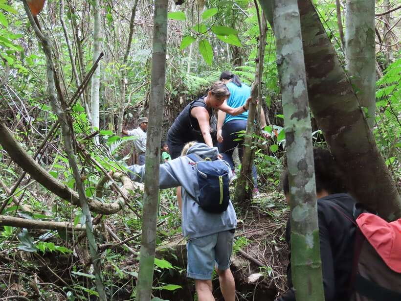Trekking Tour at Phnom Kulen National Park from Siem Reap - Transfers and comfort: why this tour feels manageable