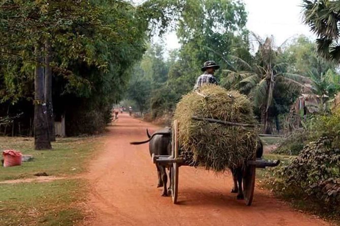 Tuk Tuk Journey: Exploring Rural Life and Silk Farm Craftsmanship - A Calm Countryside Reset From Siem Reap’s Temple Rush