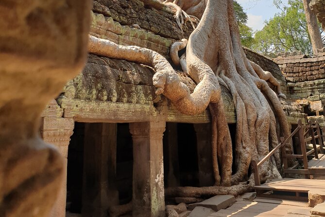 Two Days Angkor Tour - Price and logistics: what $75 really means