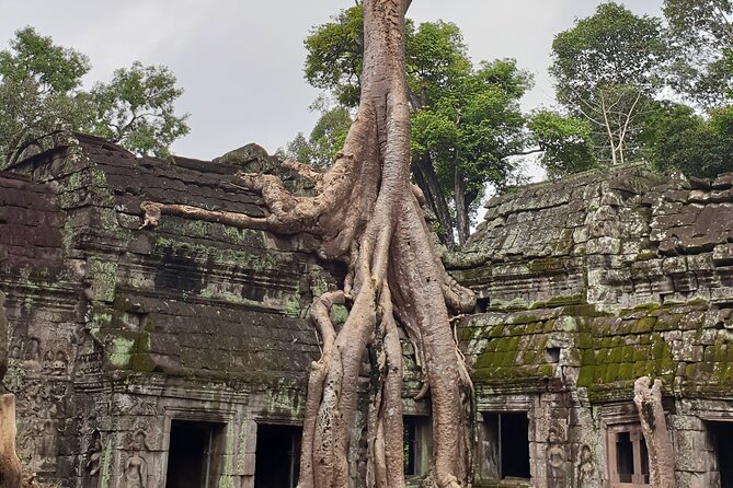 Two Days Angkor Tour - How to prepare so the days feel smooth