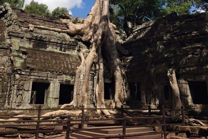 Ultimate Siem Reap Food Tour by Tuk Tuk - 20 Tastings, 8 Stops - Guides, language, and why the stories matter
