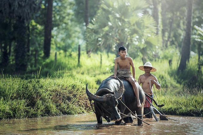 Village Life Tour from Siem Reap - Key things to know before you go