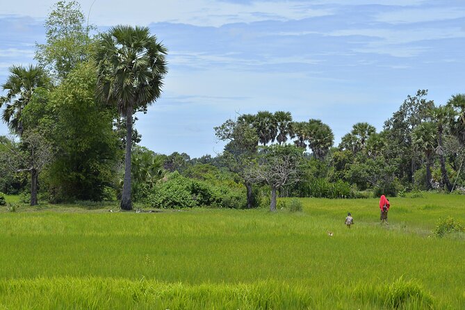Village Life Tour from Siem Reap - Morning Start From Siem Reap: Pickup, Minivan Rides, and a 9:00 AM Flow