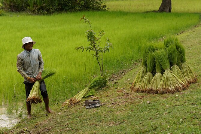 Village Life Tour from Siem Reap - From Countryside to Courtyard: Entering a Cambodian Village Setting