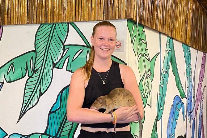 War Museum, Killing Field, and APOPO Hero RATs Tour - Who this tour suits best